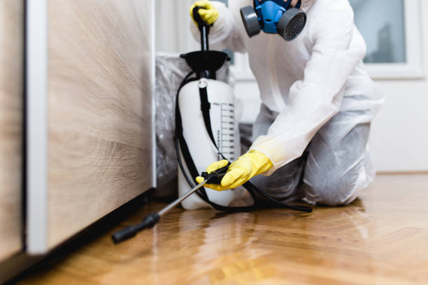 Best Ant Control Services  in De Soto, IL