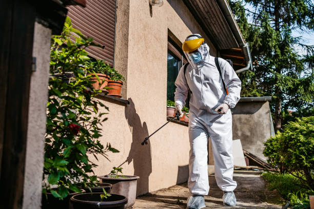 Pest Control for Restaurants in De Soto, IL