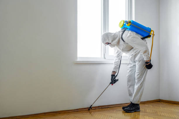 Best Pest Inspection Near Me  in De Soto, IL