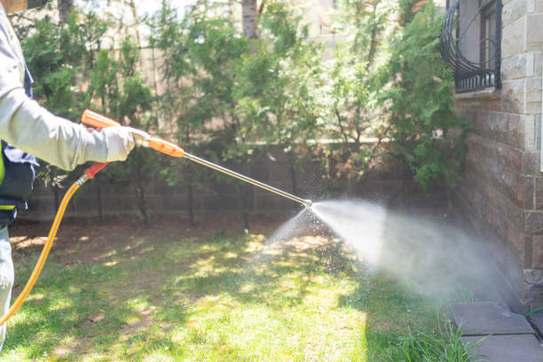Best Spider Control Near Me  in De Soto, IL