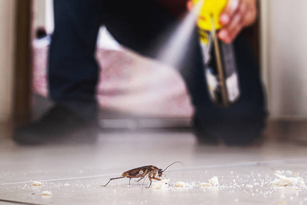Best Pest Removal Services  in De Soto, IL