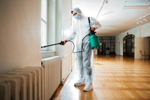 Best Mosquito Control Services  in De Soto, IL