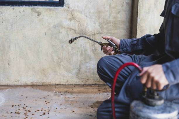 Best Commercial Pest Control Services  in De Soto, IL