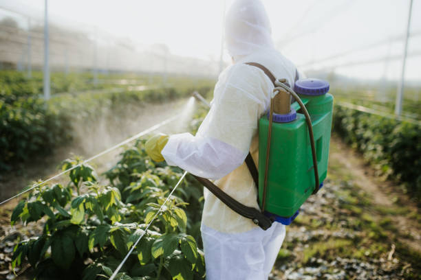 Best Ant Control Services  in De Soto, IL